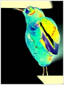 Figurative digital artwork