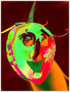 Figurative digital artwork