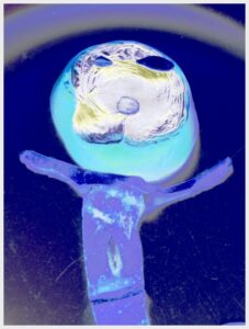 Figurative digital artwork