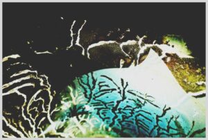 Abstract digital artwork